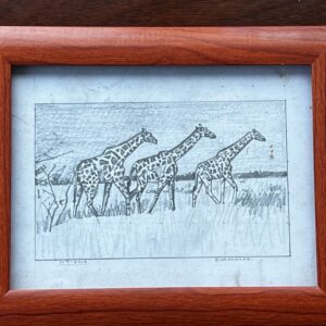 Black And White Giraffes Pencil Drawing By Ras Kassa, Fine Art